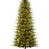 10′ GEORGIAN FIR WITH 1250 WARM WHITE LED LIGHTS